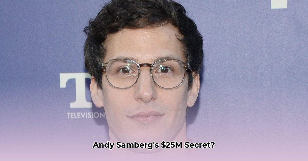 net-worth-andy-samberg